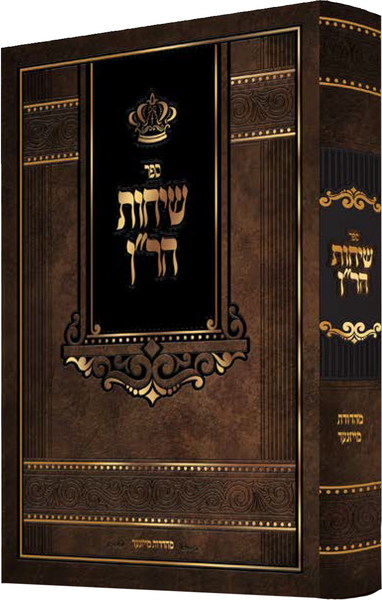 שיחות הר"ן