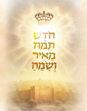 Chodesh Tamuz Meir Vesameach