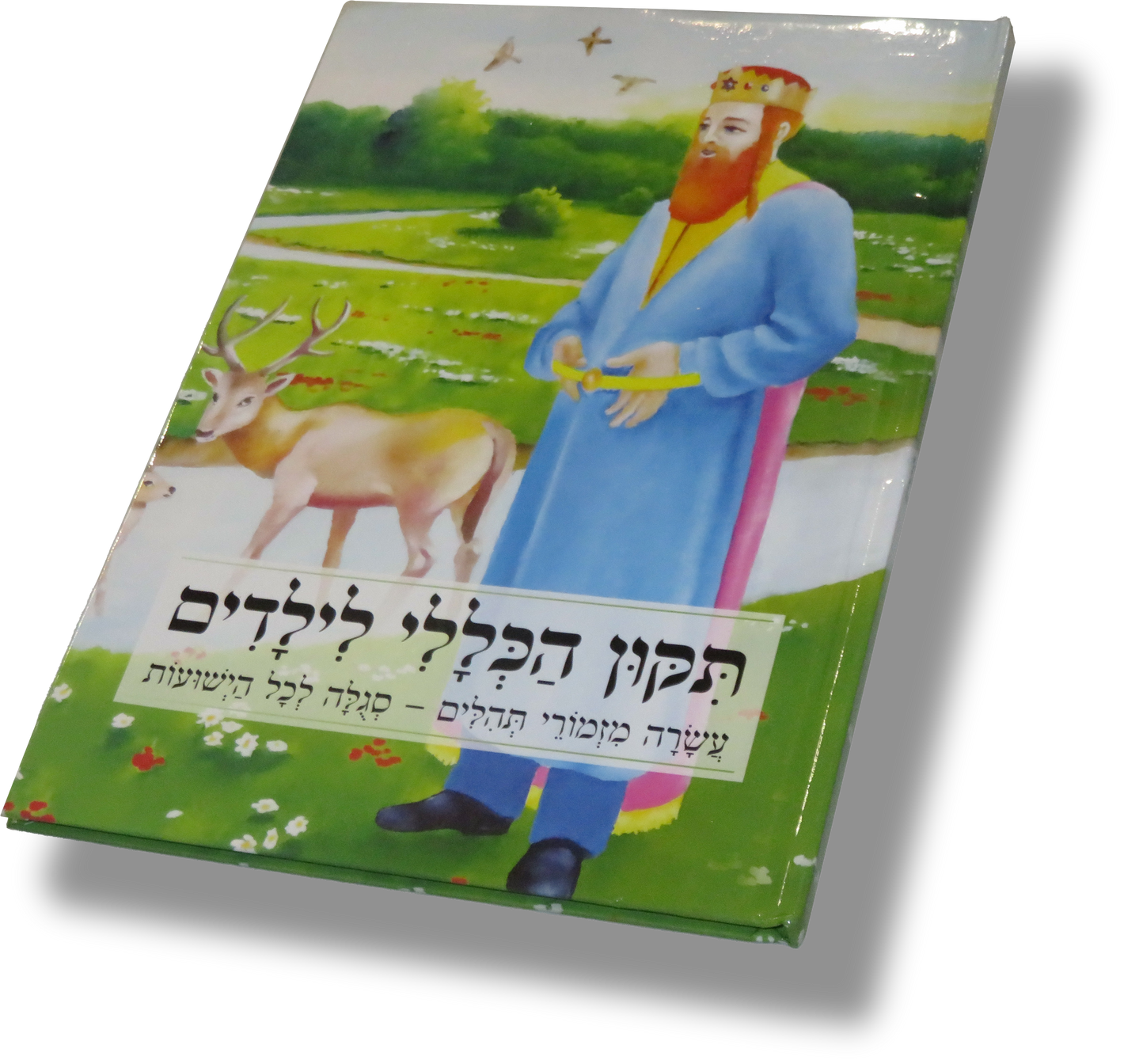 Tikkun Haklali Leyeladim